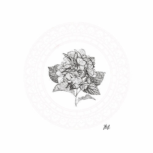 Floral Studies IV