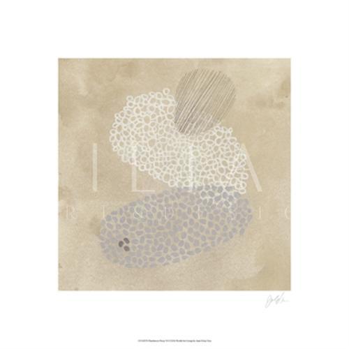 Parchment Prose V