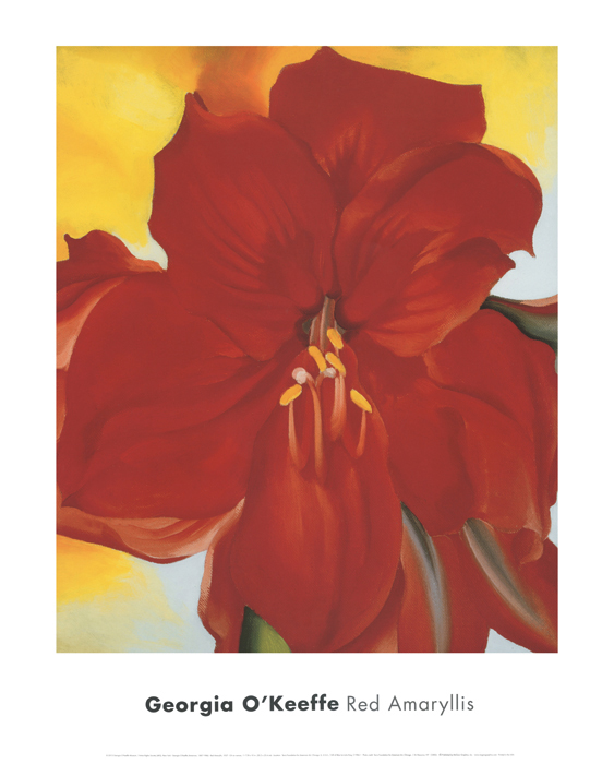 Red Amaryllis, 1937