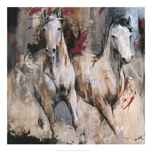 Camargue