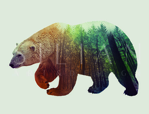 Polar Bear