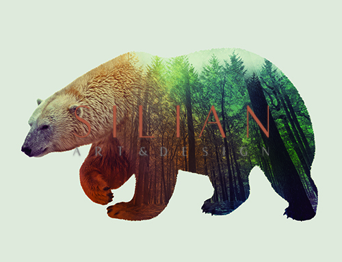 Polar Bear