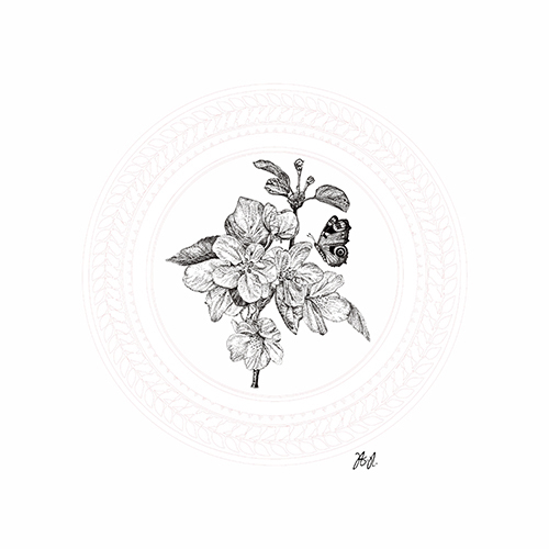 Floral Studies III