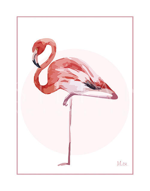Flamingo IV