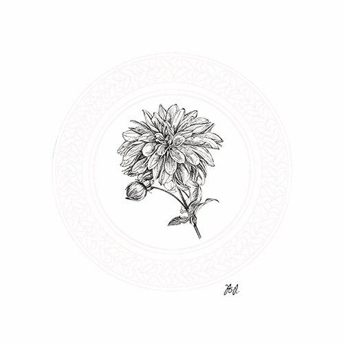 Floral Studies V