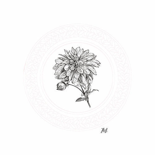 Floral Studies V