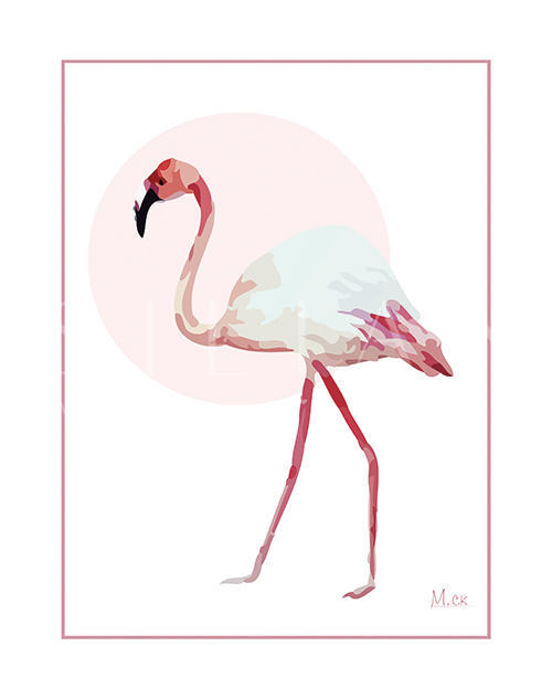 Flamingo II