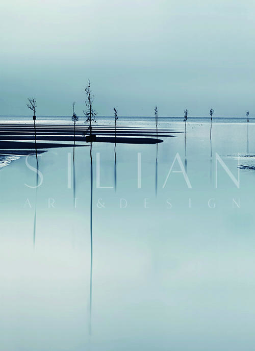 Lake Scene VI