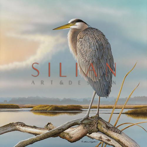 Marsh Wwtch - Great Blue Heron