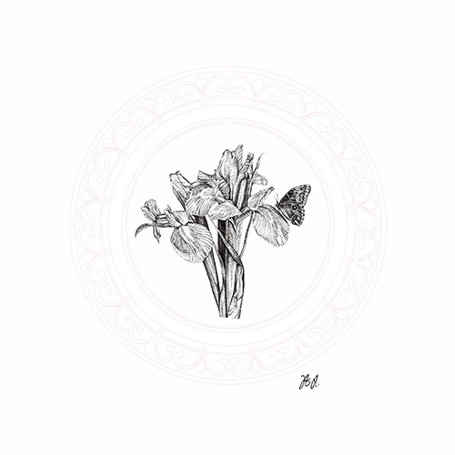 Floral Studies VI