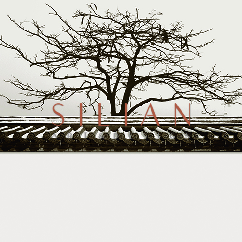 Roof III