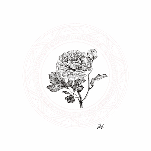 Floral Studies I