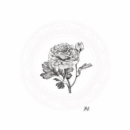 Floral Studies I