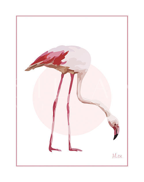 Flamingo I
