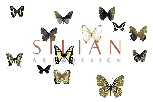 Butterfly Combination II