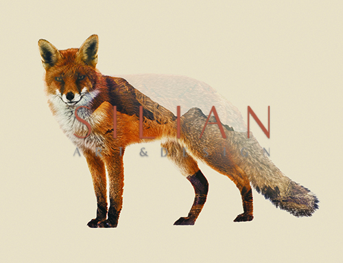 Fox II 