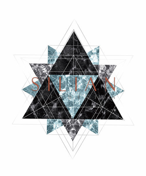 Starry Sky In Snowflake V