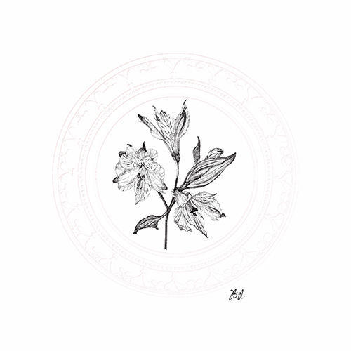 Floral Studies II