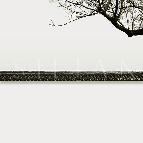 Roof IV