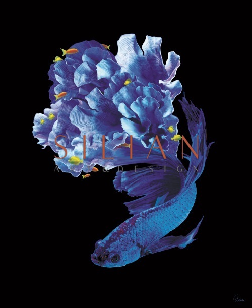 Fantasy Coral II