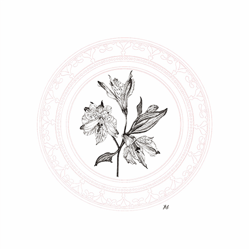Blooming Ⅱ