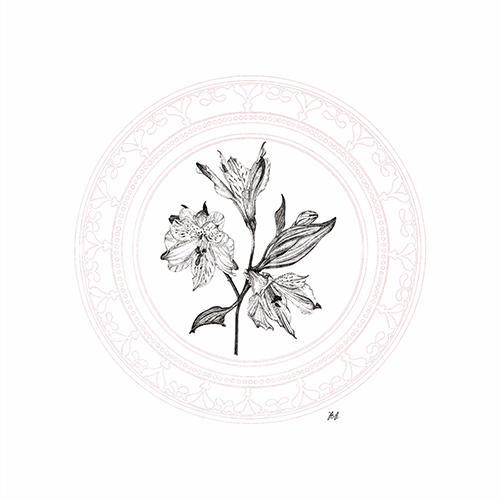 Blooming Ⅱ