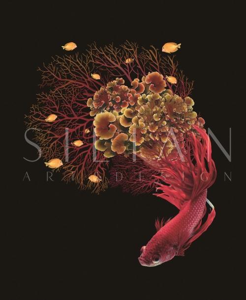 Fantasy Coral IV