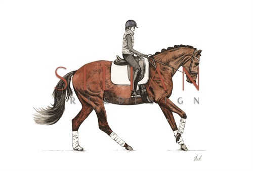 Knight IV