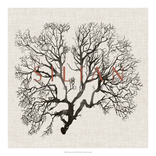 Shadow Sea Fan II