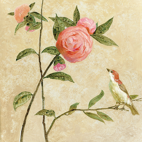 茶花鸟 Ⅰ