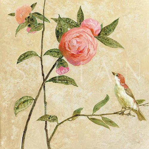 茶花鸟 Ⅰ