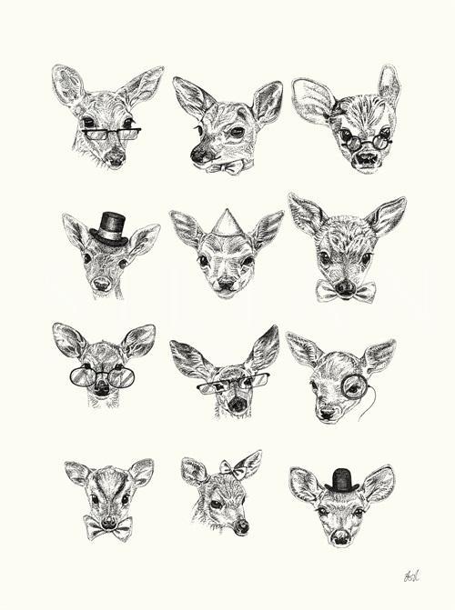 Animal Portrait II
