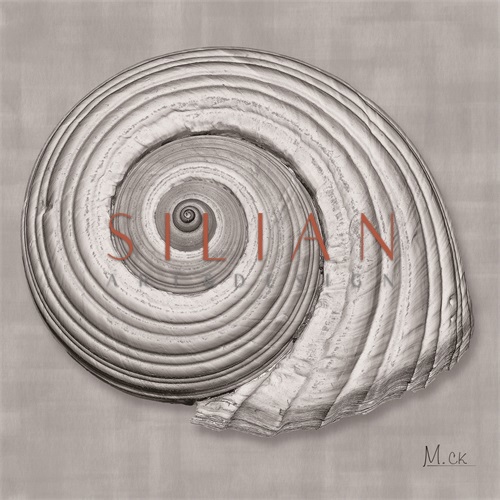 Shell IV