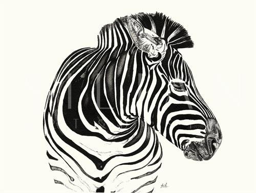 B&W Animal I