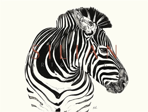 B&W Animal I