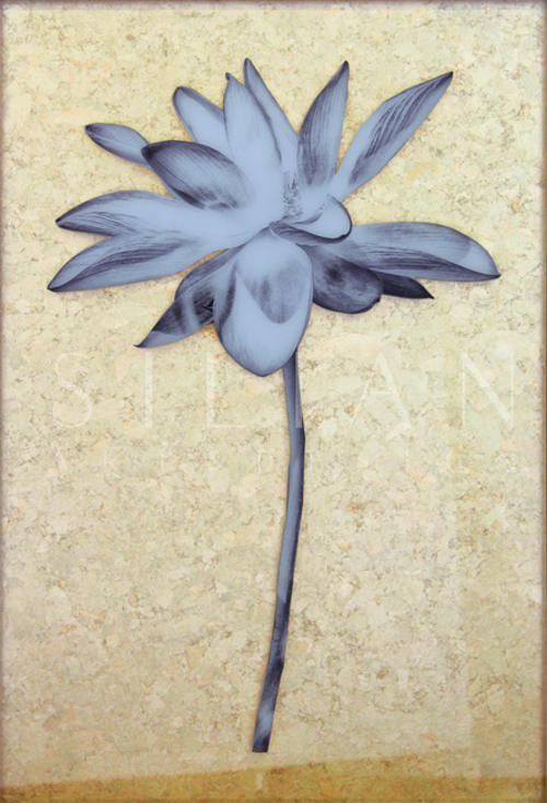 Lotus III