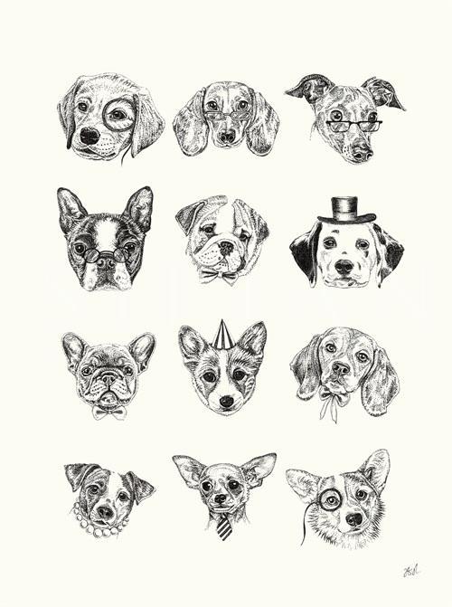 Animal Portrait I