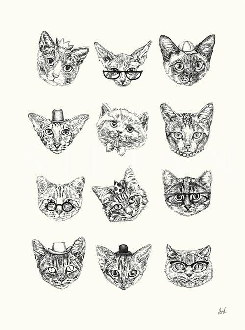 Animal Portrait VI