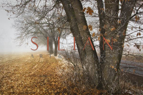 Fall To Winter