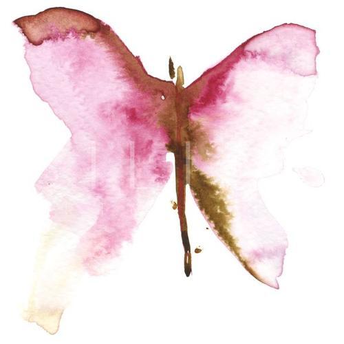 Delicate - No. 1