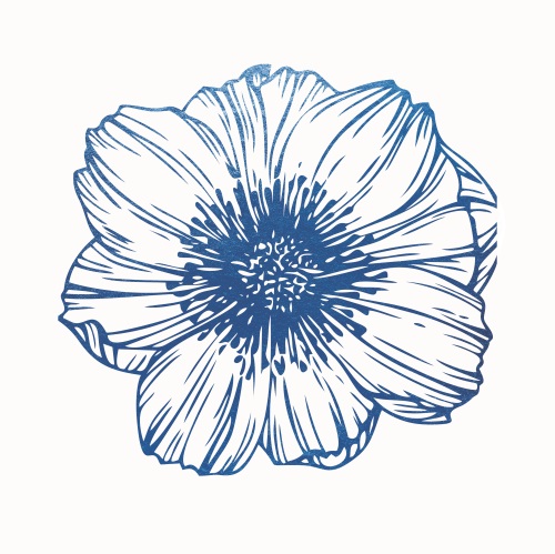 靛蓝花卉 II