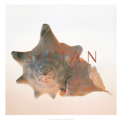 Conch