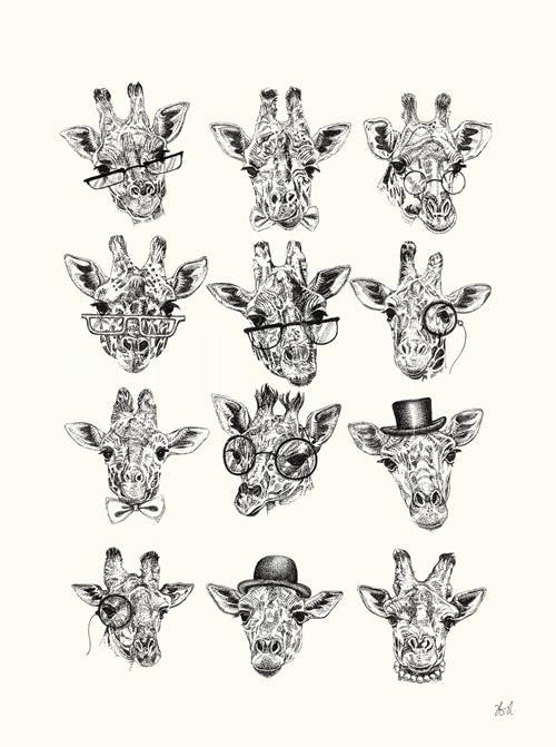 Animal Portrait III