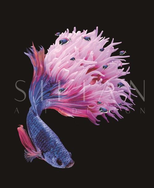 Fantasy Coral III