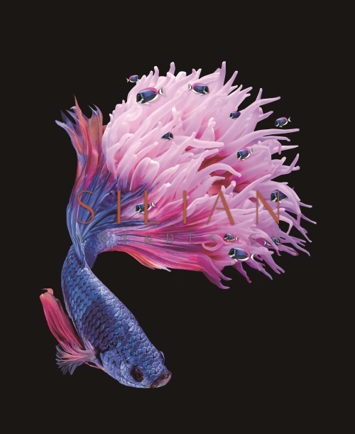 Fantasy Coral III