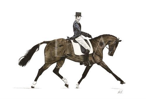 Knight V