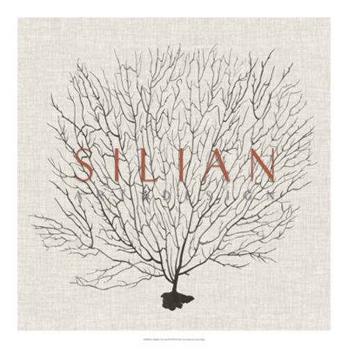 Shadow Sea Fan III