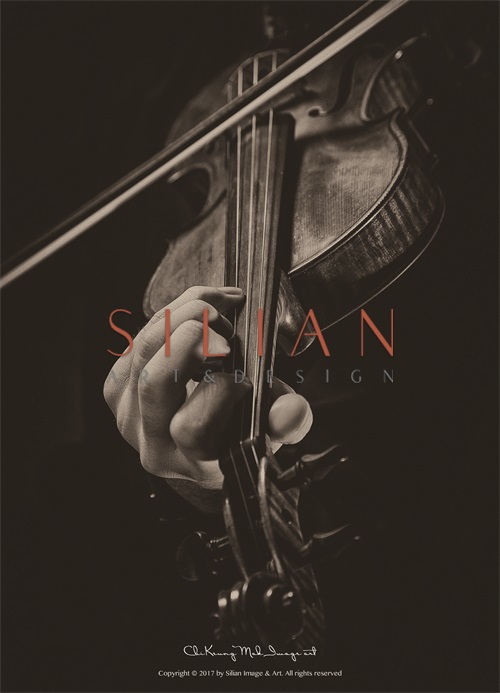 Playing Violin 