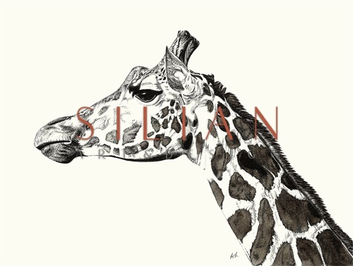 B&W Animal IV