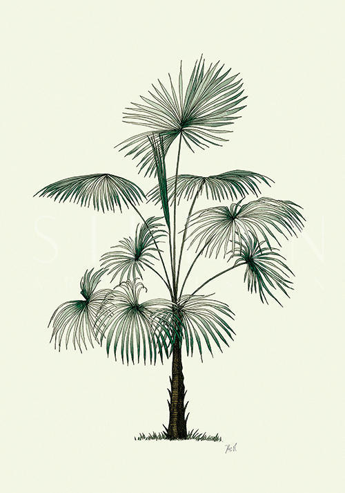 Green Tree VII